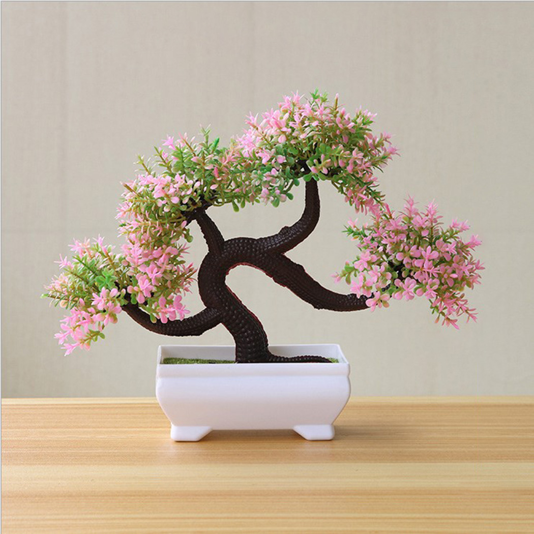 Bonsai Garden Backyard - Pianta Bonsai Decorativa da Interno in