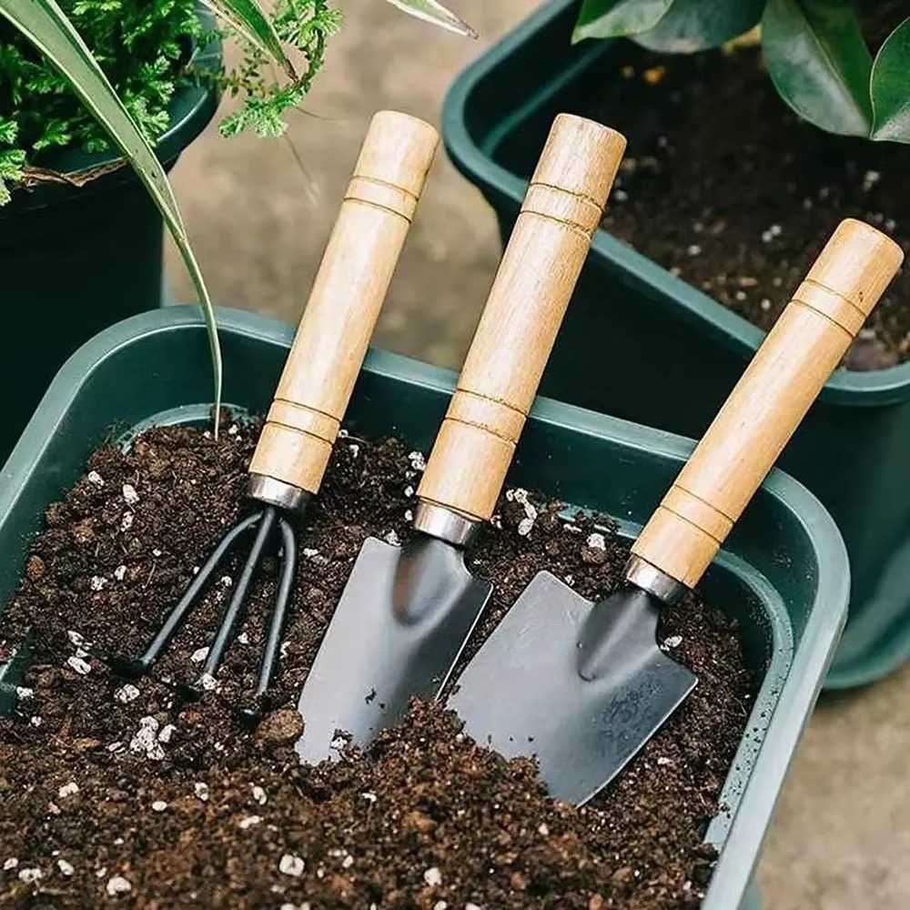 Soil Scoop Tool - Set di 3 mini attrezzi da