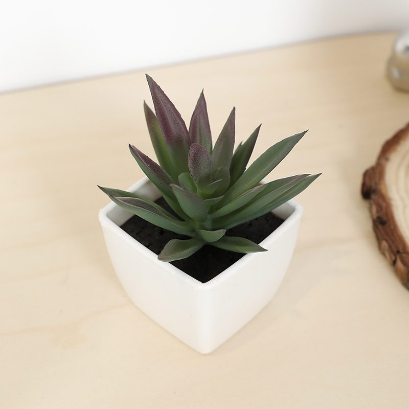 Bonsai Garden Accessories - Mini tazza di fata artificiale succulenta,