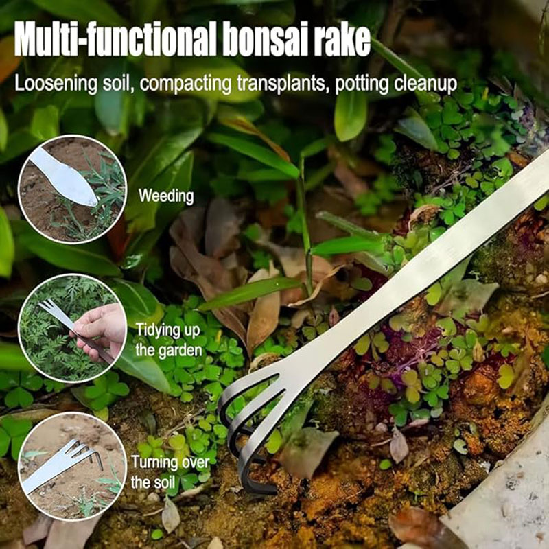 Rastrello per Radici in Acciai - Bonsai Gardenia recensione e prezzo