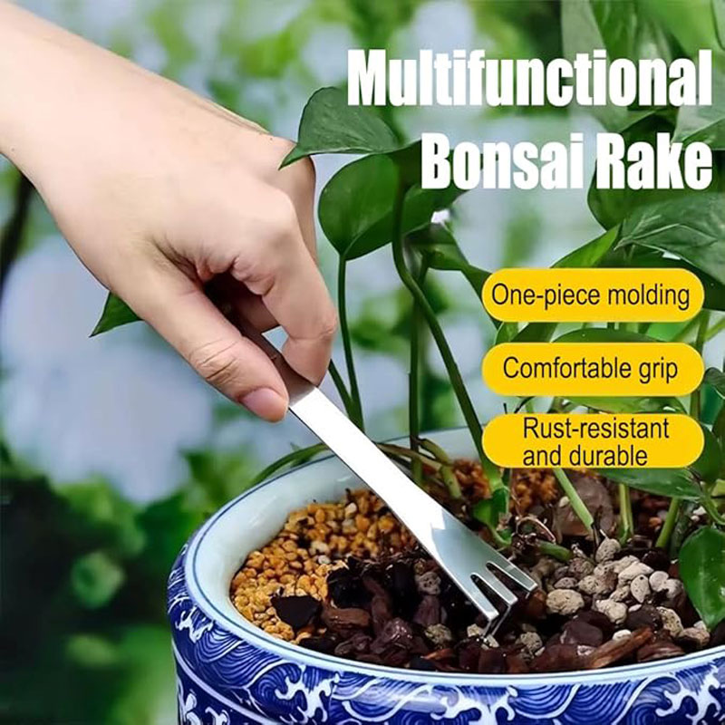 Rastrello per Radici in Acciai - Bonsai Gardenia recensione e prezzo