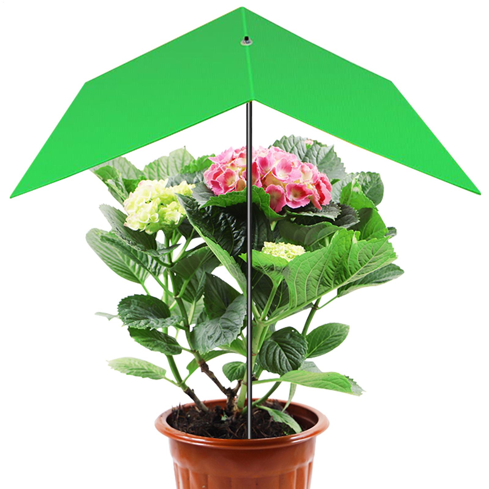 Ombrellone Parasole per Piante - Bonsai Garden Backyard recensione e prezzo