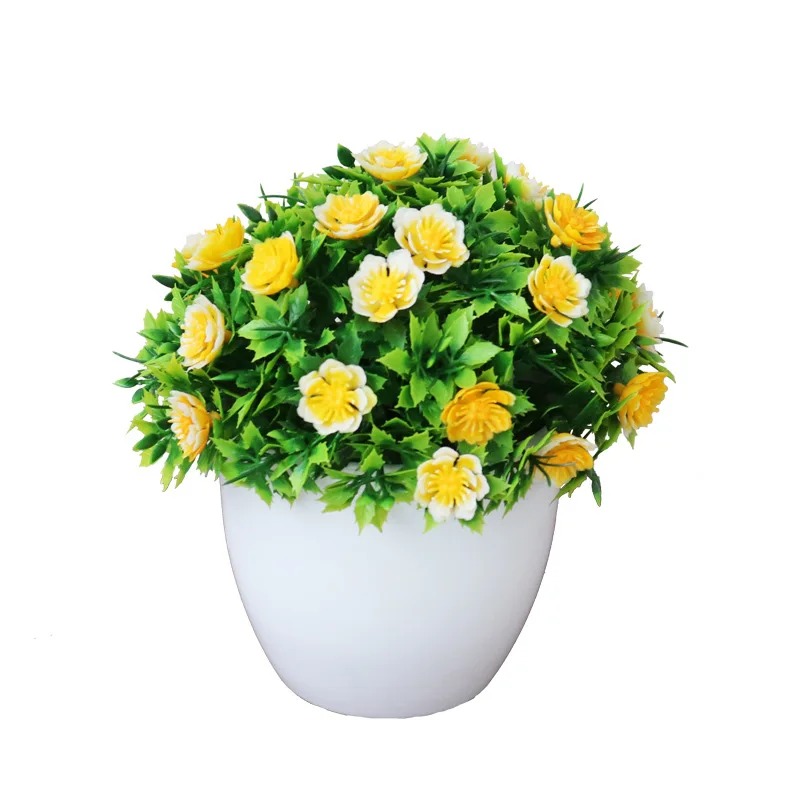 Mini vaso da fiori carnoso in  - Training Pot Ceramic recensione e prezzo