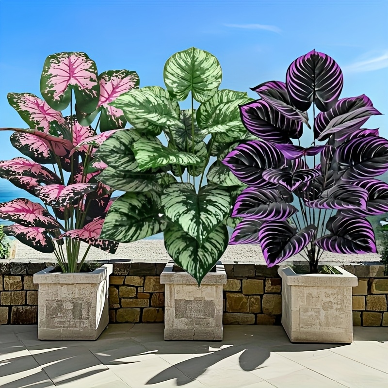3 pz 60 cm Grande Pianta Verde - Bonsai Gardenia recensione e prezzo
