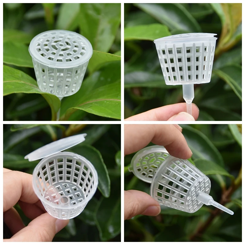 Cestino per fertilizzante con  - Bonsai Garden Of Ct recensione e prezzo