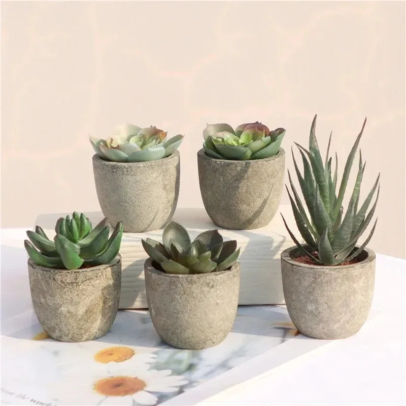 Mini piante artificiali di alo - Bonsai Garden Sushi recensione e prezzo