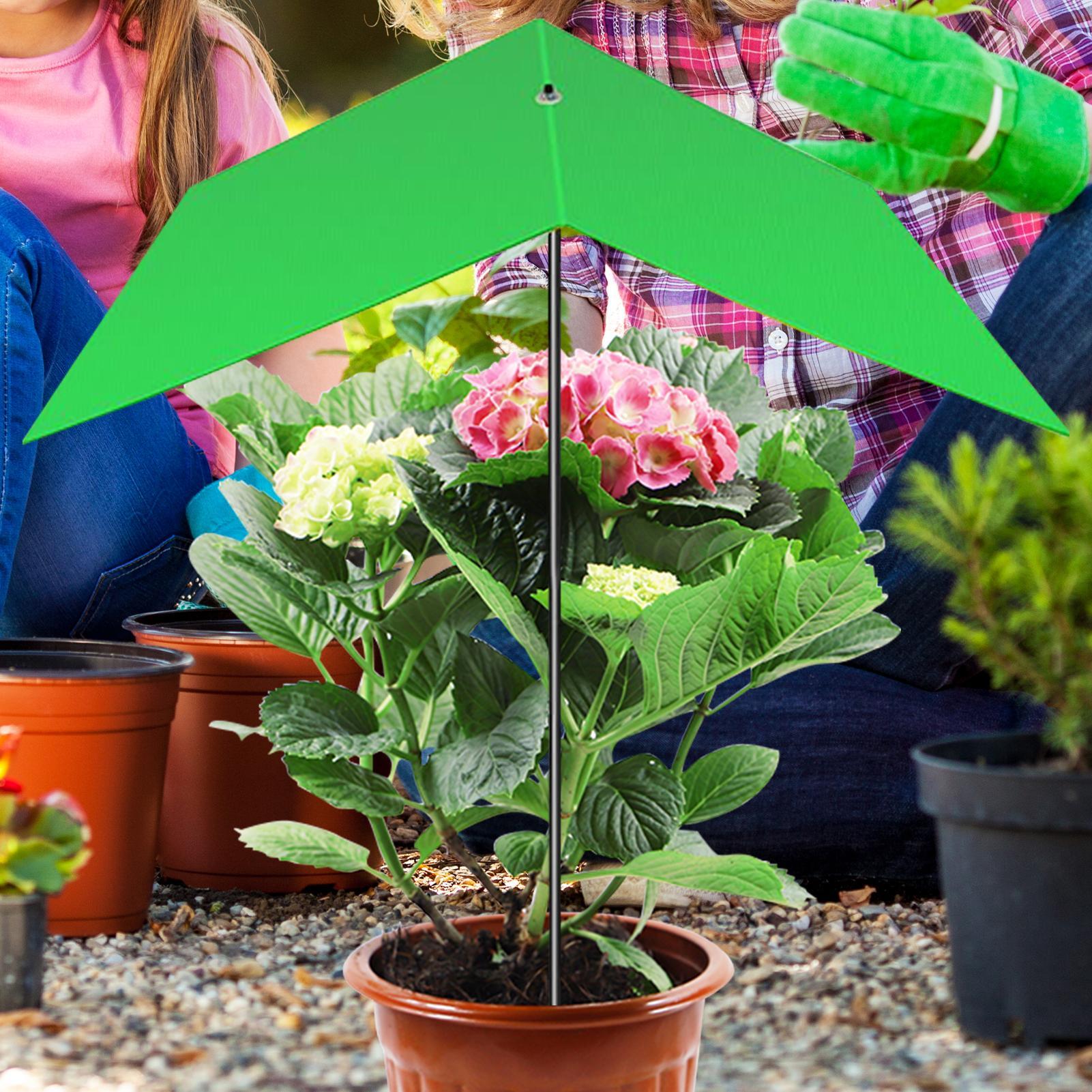 Ombrellone per piante anti-UV, - Bonsai Garden Backyard recensione e prezzo