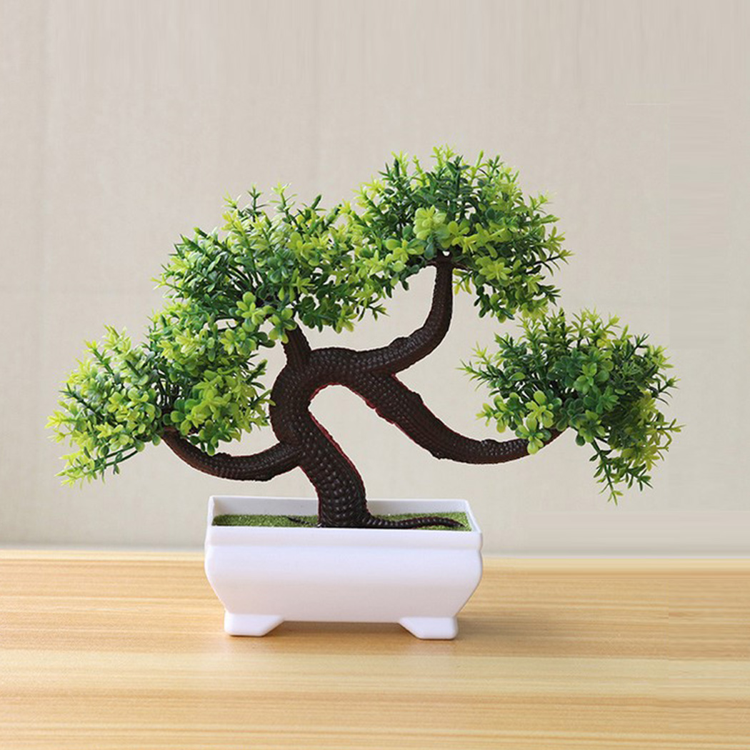 Pianta Bonsai Decorativa da In - Bonsai Garden Backyard recensione e prezzo