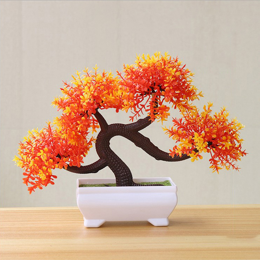 Pianta Bonsai Decorativa da In - Bonsai Garden Backyard recensione e prezzo