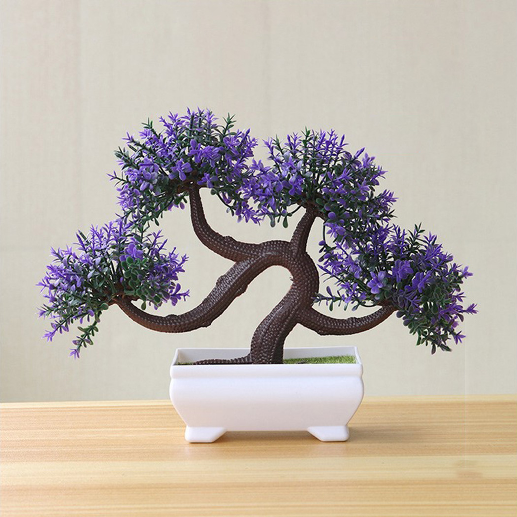 Pianta Bonsai Decorativa da In - Bonsai Garden Backyard recensione e prezzo