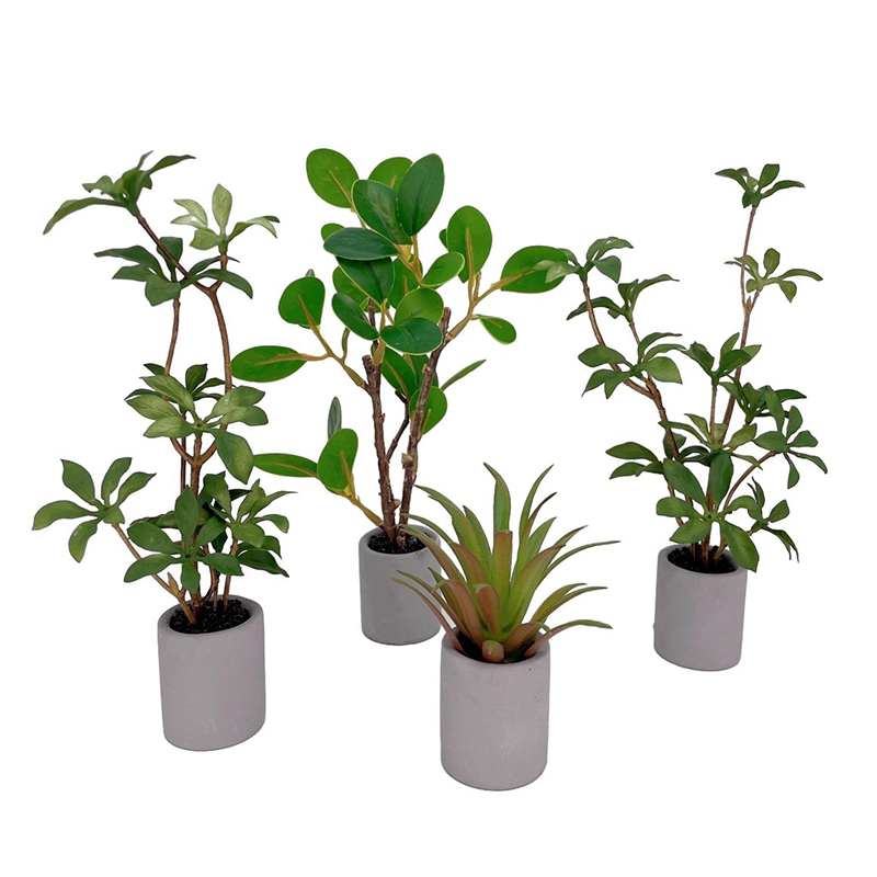 1:6 Casa delle bambole in mini - Bonsai Gardenia recensione e prezzo