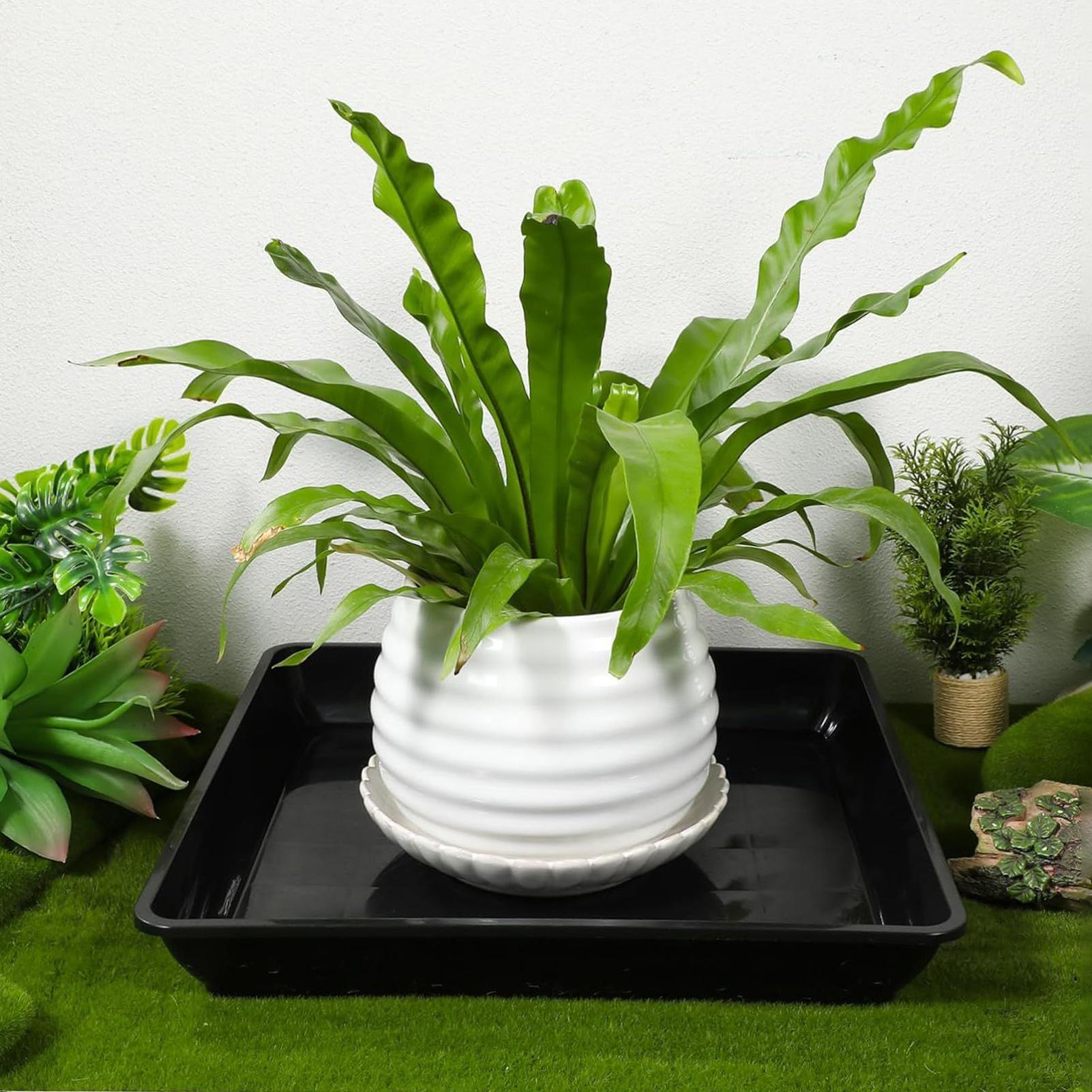 Vassoi per vasi da fiori 2 pz/ - Drip Tray Saucer recensione e prezzo