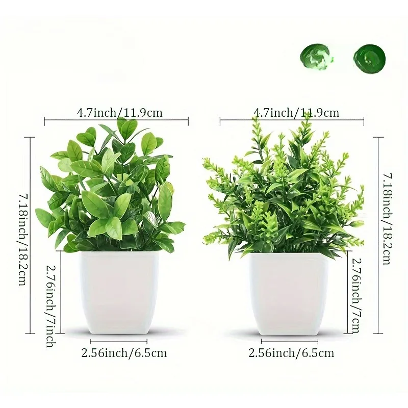 Commercio all'ingrosso Bonsai  - Bonsai Gardenia recensione e prezzo