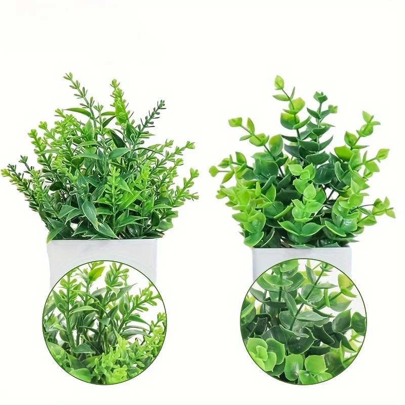 Commercio all'ingrosso Bonsai  - Bonsai Gardenia recensione e prezzo