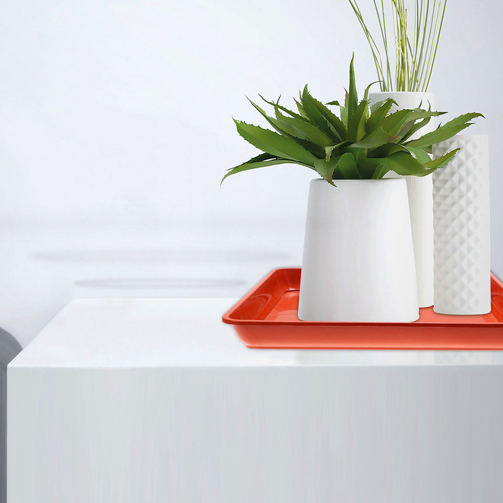 2 Pezzi Vassoio per Piante in  - Drip Tray Saucer recensione e prezzo