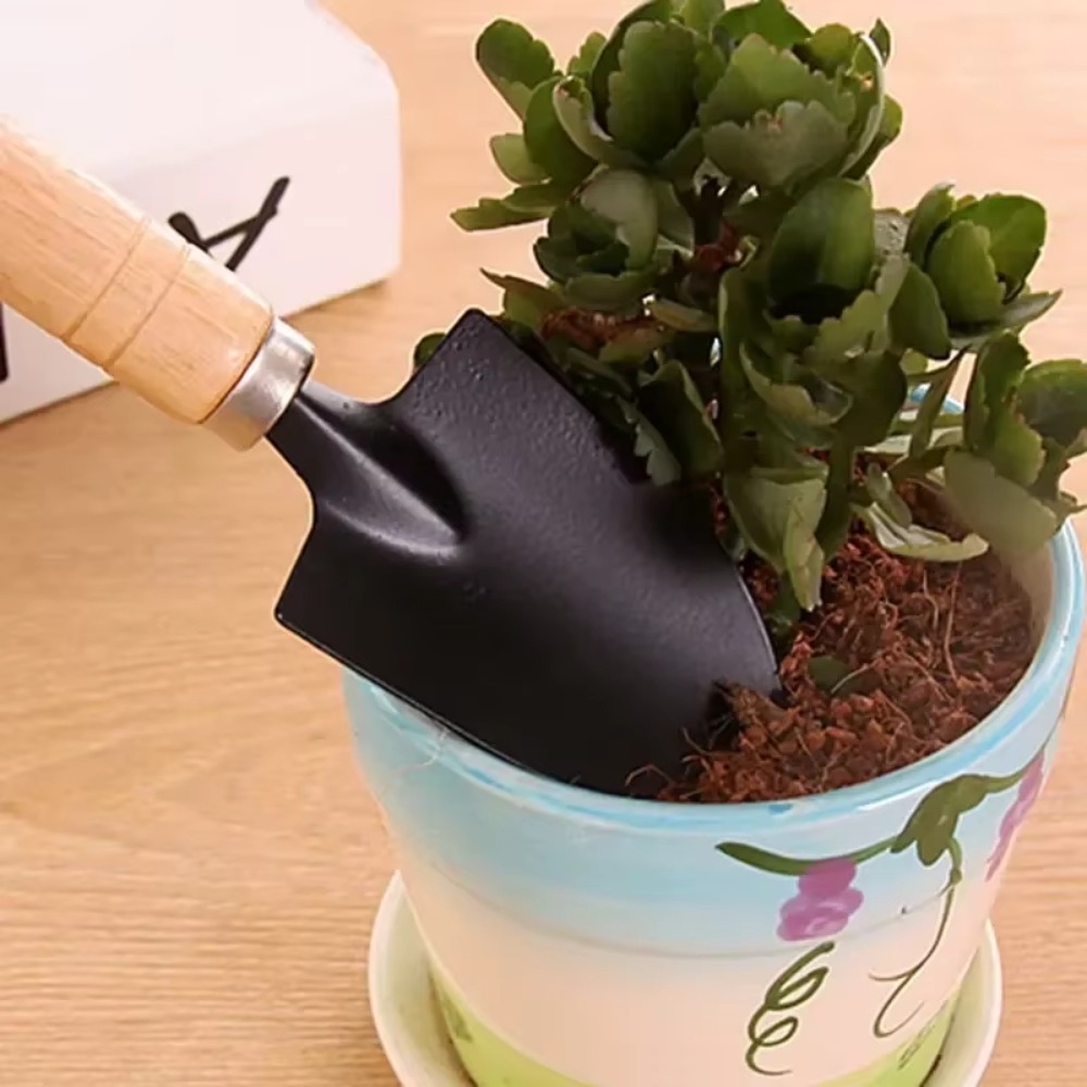 Set di 3 mini attrezzi da giar - Soil Scoop Tool recensione e prezzo