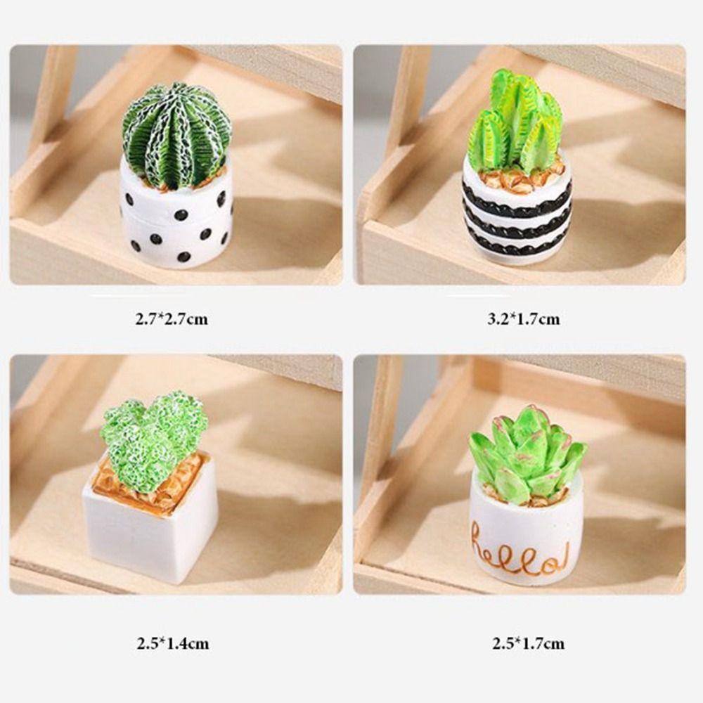 1:12 Casa delle bambole in min - Bonsai Garden Accessories recensione e prezzo