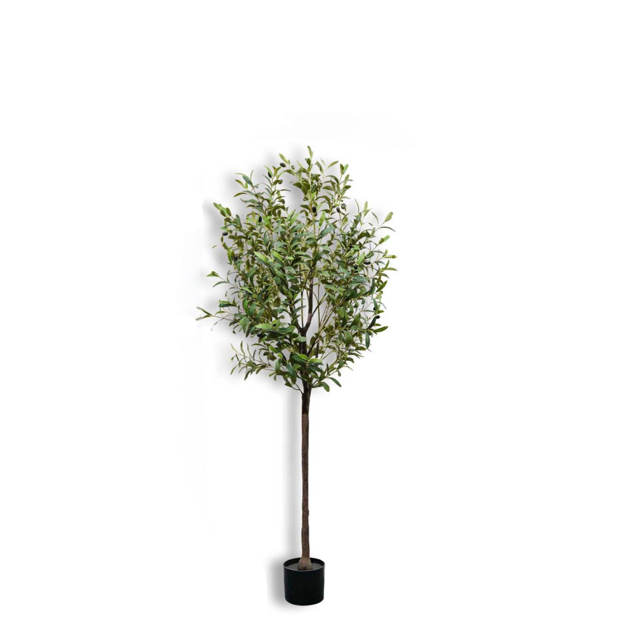 Albero di Ulivo Artificiale da - Bonsai Garden Sushi recensione e prezzo