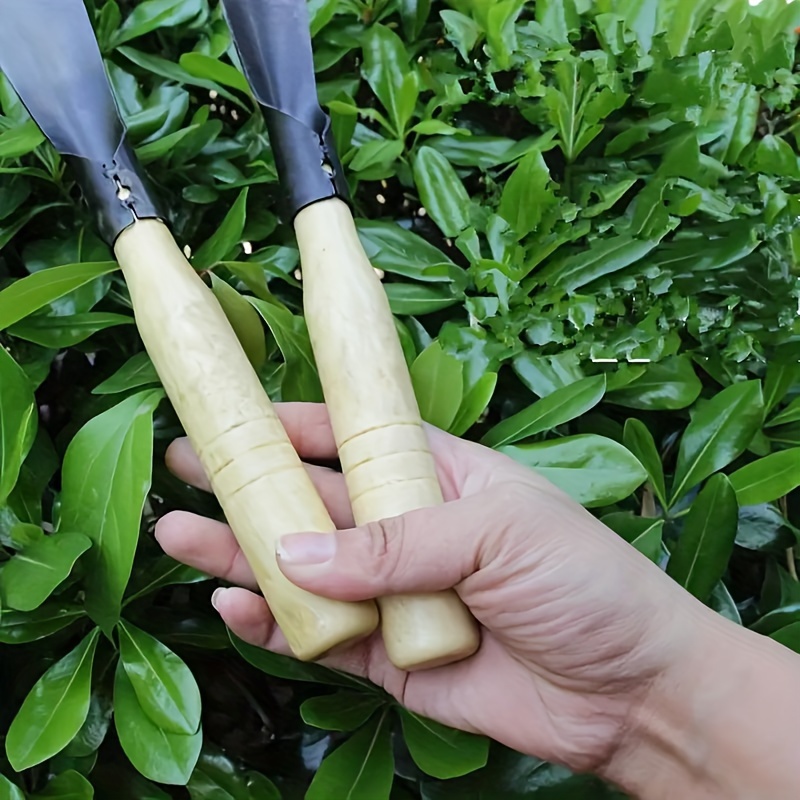 Set di attrezzi per pala da gi - Soil Scoop Tool recensione e prezzo