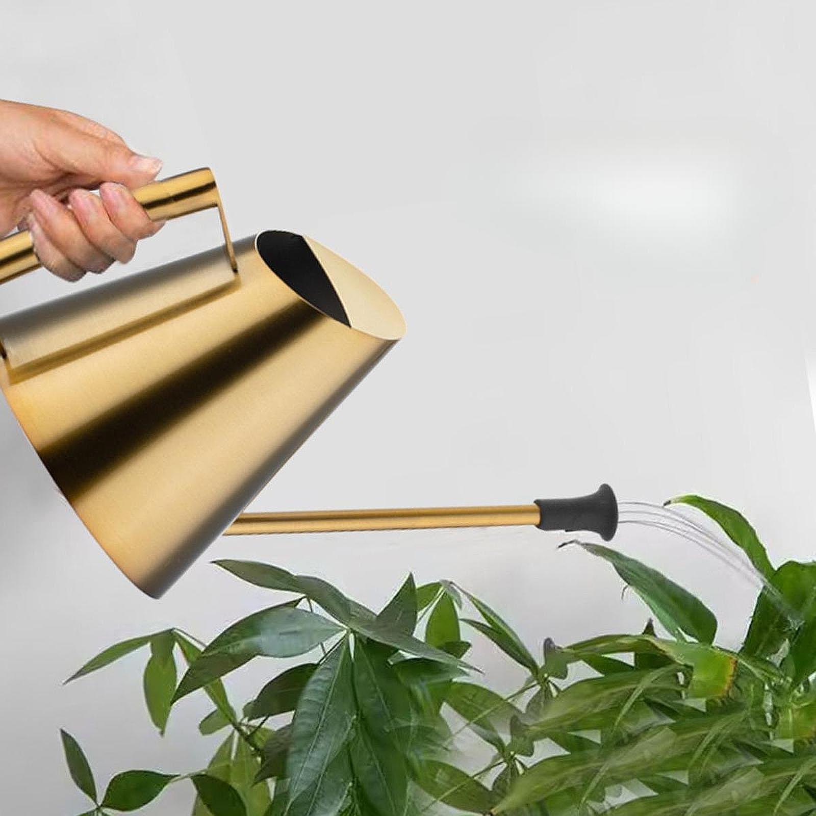Annaffiatoio da 900ml con Test - Bonsai Garden Backyard recensione e prezzo