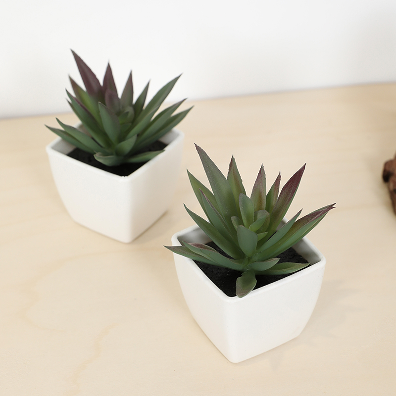 Mini tazza di fata artificiale - Bonsai Garden Accessories recensione e prezzo