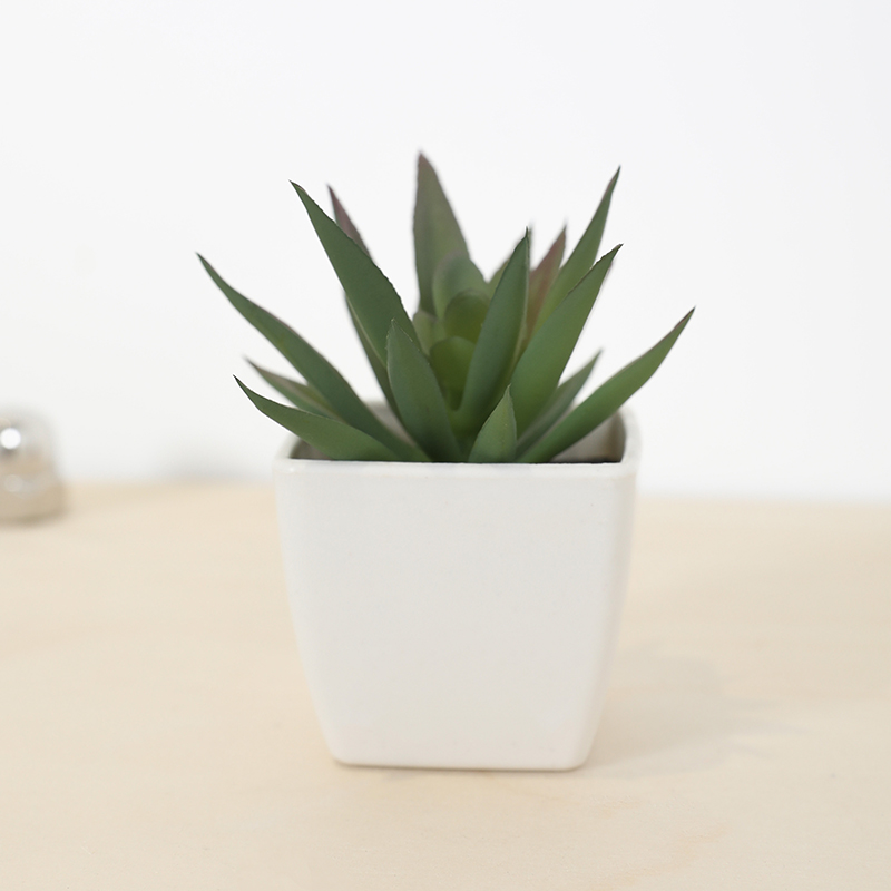 Mini tazza di fata artificiale - Bonsai Garden Accessories recensione e prezzo