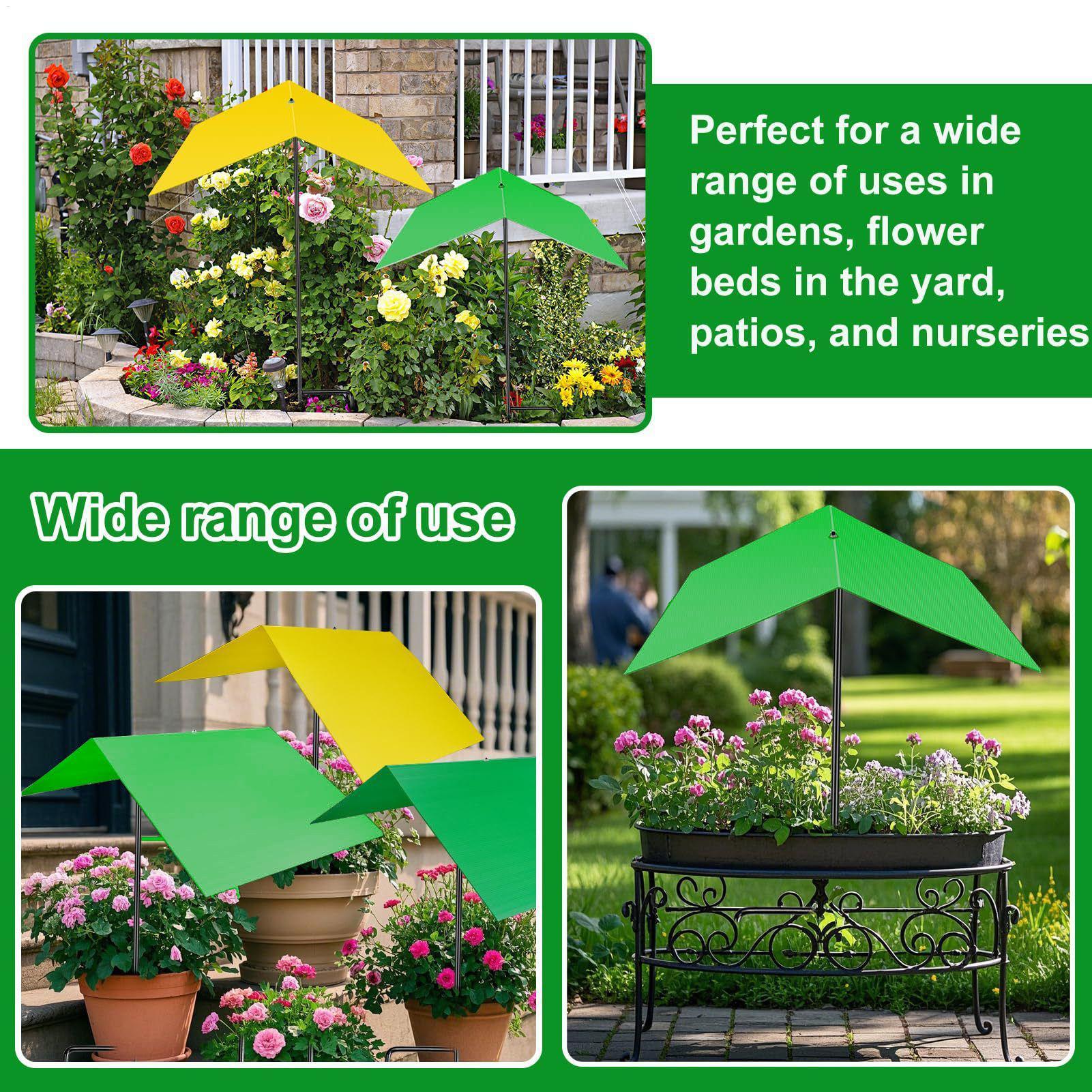 Copertura Ombreggiante per Pia - Bonsai Garden Backyard recensione e prezzo