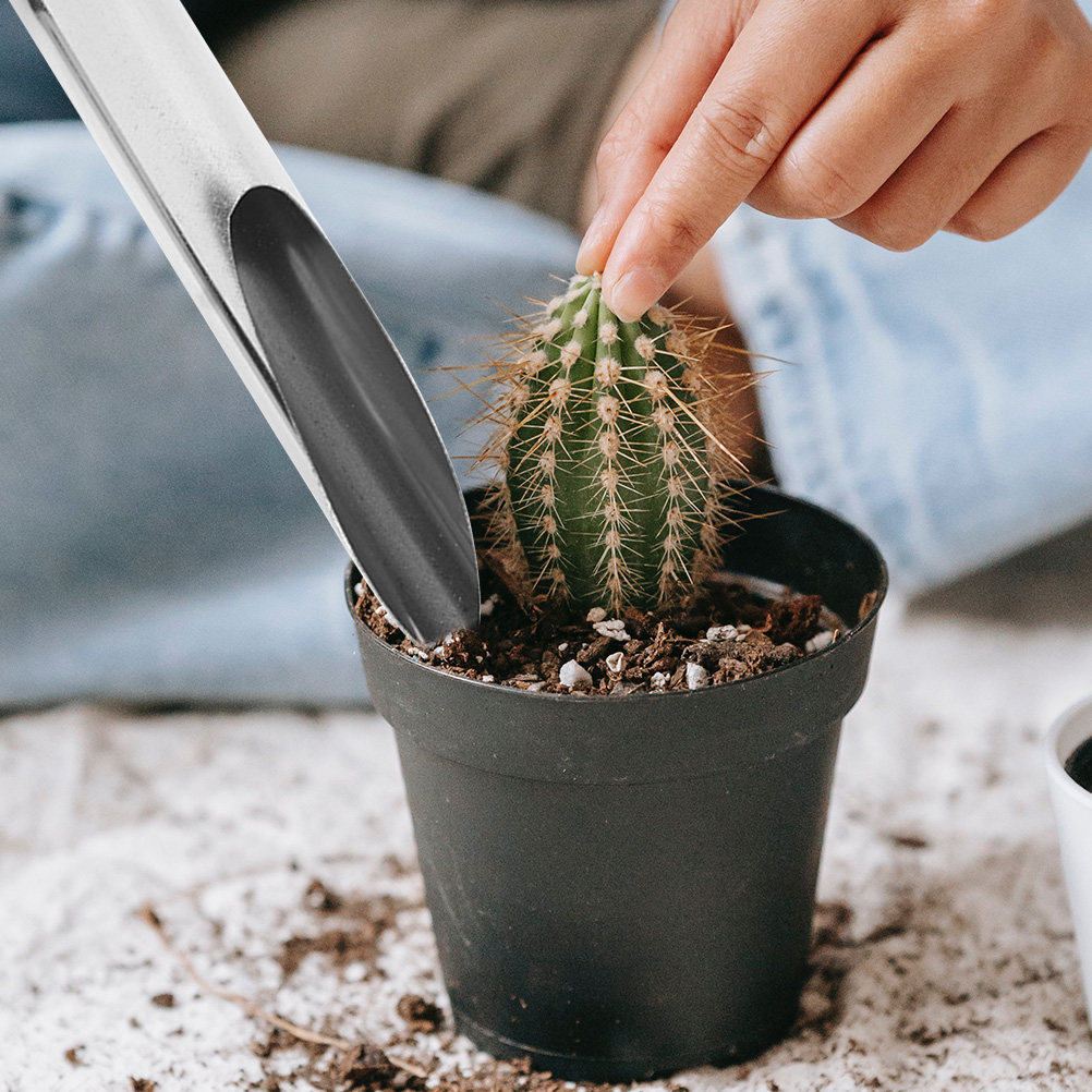 Paletta da giardino in acciaio - Soil Scoop Tool recensione e prezzo