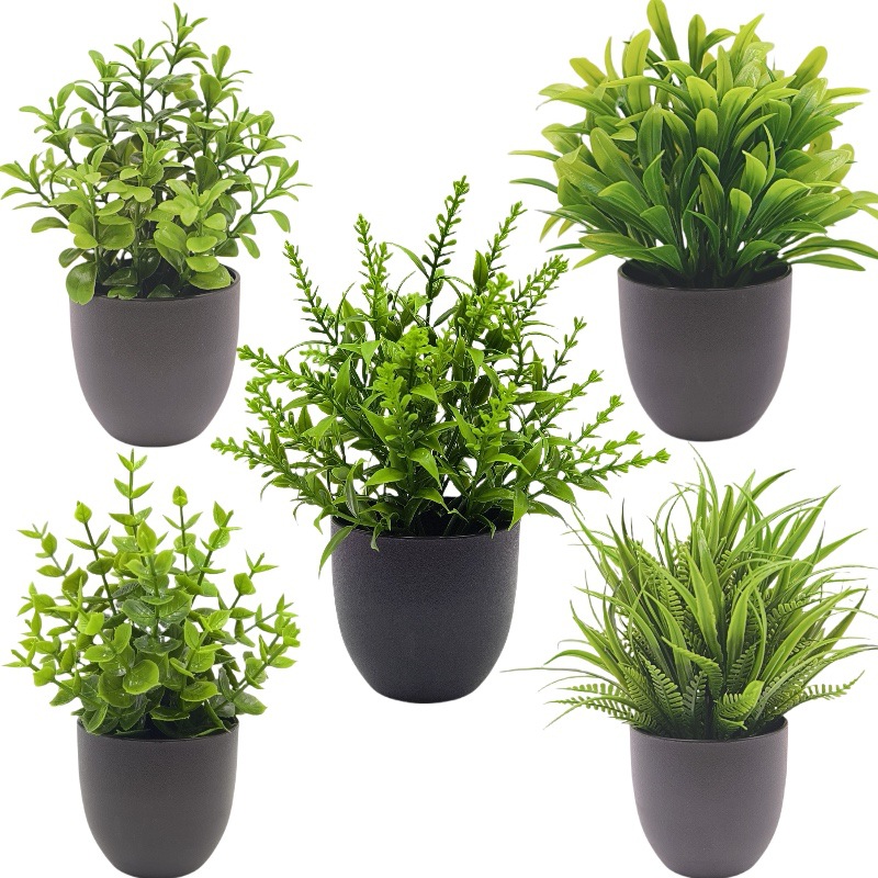 Bonsai Artificiale Verde per D - Bonsai Garden Accessories recensione e prezzo