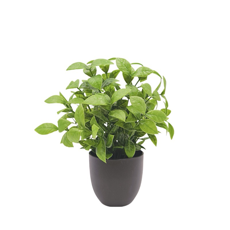 Bonsai Artificiale Verde per D - Bonsai Garden Accessories recensione e prezzo
