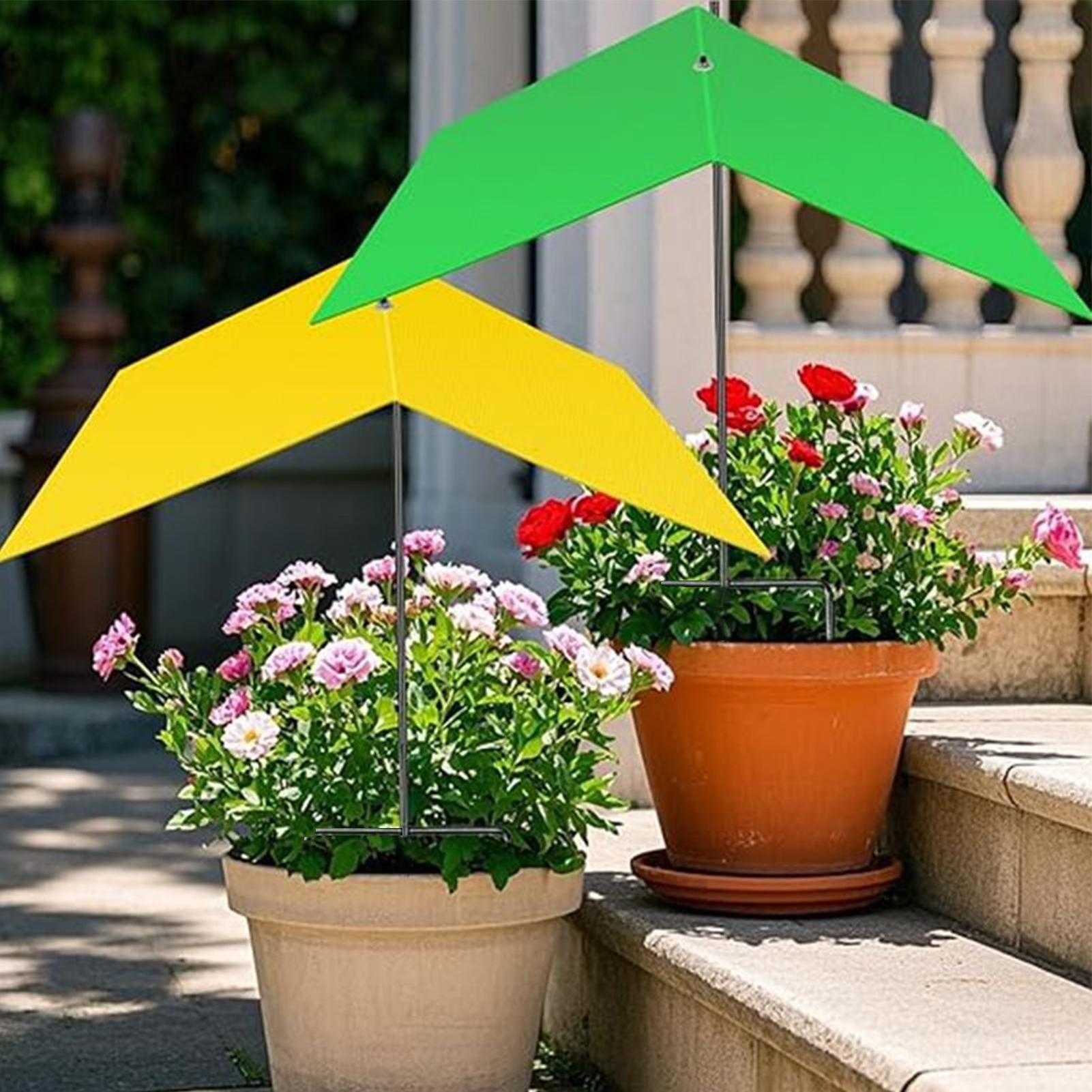 Ombrelli per piante da esterno - Bonsai Garden Backyard recensione e prezzo