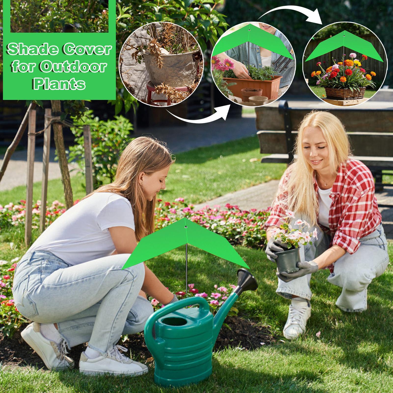 Ombrelli per piante da esterno - Bonsai Garden Backyard recensione e prezzo