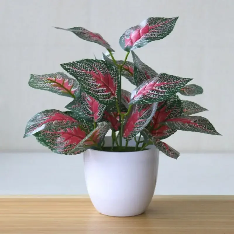Piante artificiali Bonsai Pian - Bonsai Garden Accessories recensione e prezzo