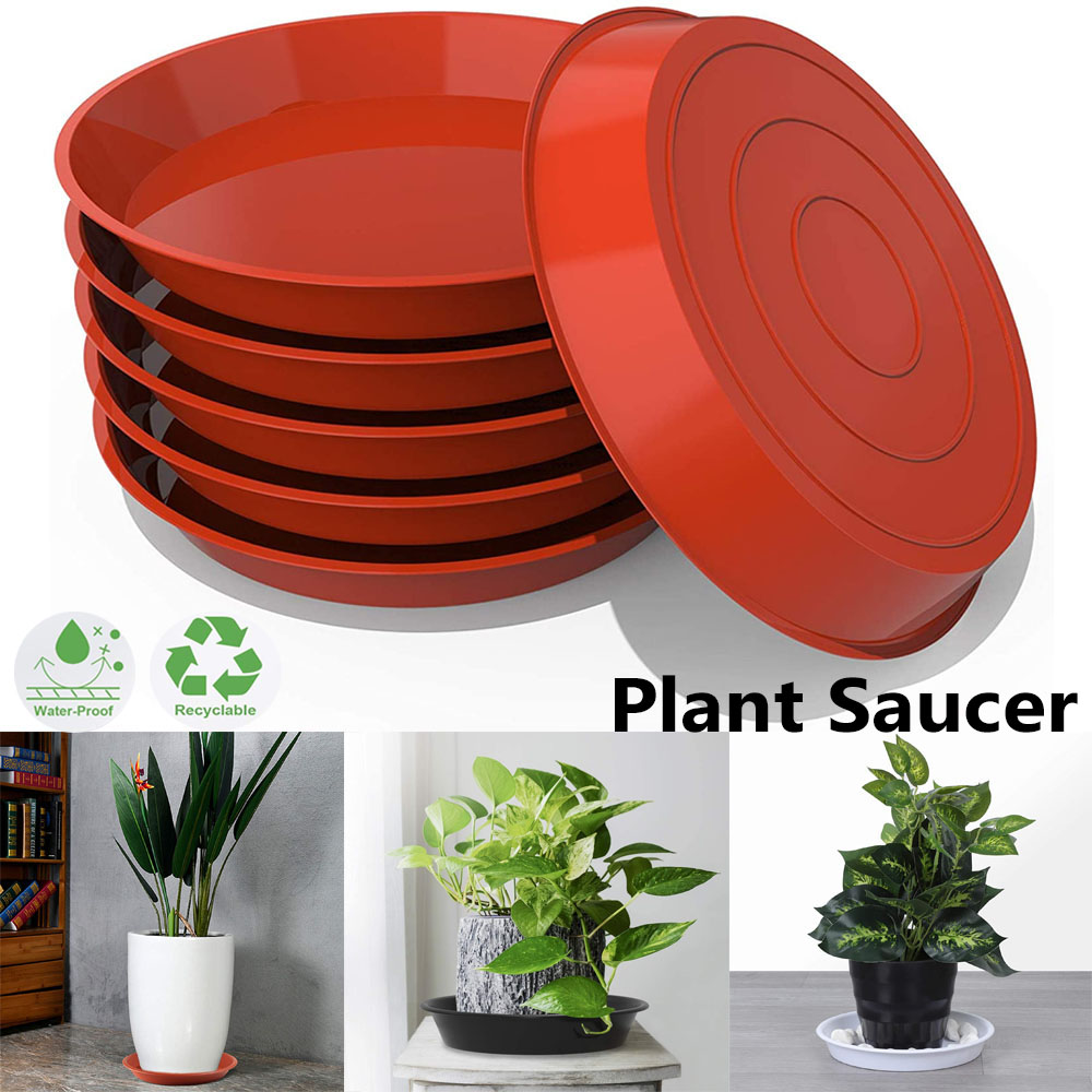 3 Pezzi Sottovasi Rotondi in P - Drip Tray Saucer recensione e prezzo